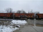 CN 90016 is new to RRPA!